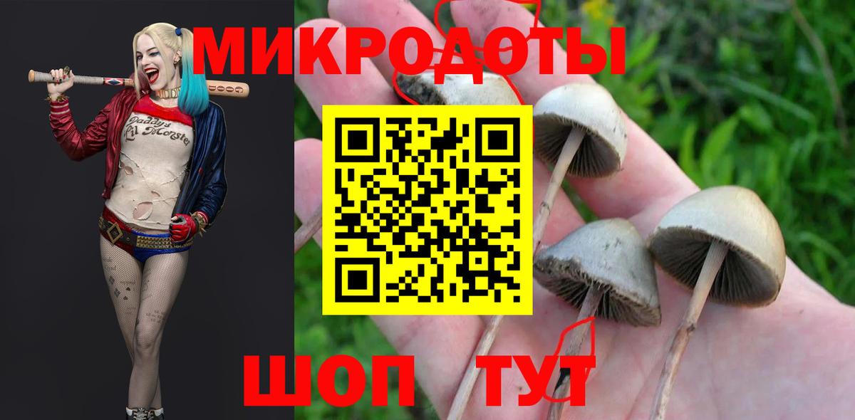 Псилоцибиновые грибы Magic Shrooms  Вход с VPN  Гусь-Хрустальный 